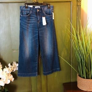 Banan Republic Premium Denim Wide Leg Capri Jeans